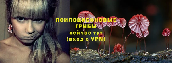 молекула духа Баксан