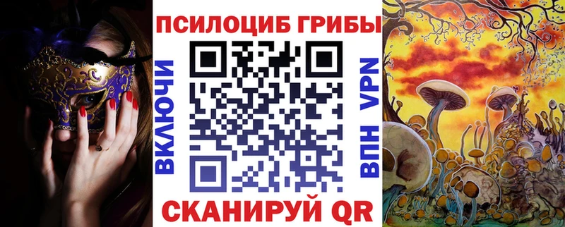 Купить закладки  Пролетарск  Псилоцибиновые грибы мицелий 